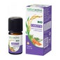 Zanahoria Naturactive Hle Ess Bio