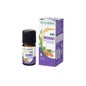 Zanahoria Naturactive Hle Ess Bio