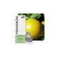 Pomelo Bio 10 ml Aceite Esencial