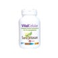 Sura Vitasan Vital Celular 60 caps