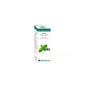 Equisalud Bio Essential Oil Menta 10 ml