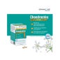 Granions Chondrostéo + Articulations 90 comps