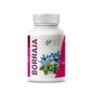 Ghf Borretsch 710mg 110 Perlen