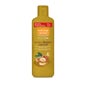 Natural Honey Argan Elixir Bath Gel 650ml