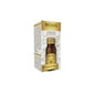 PROSVIS 100PAST