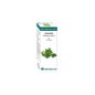 Bio Essential Oil Cilantro 10 Ml.