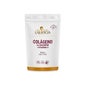 Ana Maria Lajusticia Collagene con magnesio e vitamina C sapore di fragola 350g