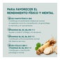 Kneipp Memoria y Concentración 30caps