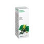 Damiana 29 Nalewka macierzysta 50ml
