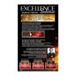 L'Oreal Set Excellence Intense Tint 666 Rosso Scarlatto Intenso