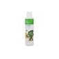 Propharex Insigny Kids Champú Árbol del Té y Vinagre de Jerez 200 ml