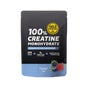 Gold Nutrition Creatine Monohydrate Frutos Rojos 200 g
