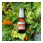 Herbalgem Energem Chute de Energía Spray Bio 15ml