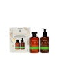 Apivita Pack Tonic Mountain Tea gel de ducha 250ml + Leche corporal 200ml