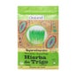Hierba de Trigo Bio Super Alimentos Drasanvi 125 g