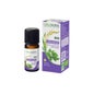 Cilantro Naturactive He Bio 10 ml