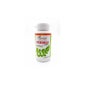 Moringa Forte Plantapol 60 Cápsulas