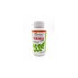 Moringa Forte Plantapol 60 Cápsulas