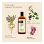Nuggela & Sulé Champú Green Vegano Volumen y Grosor 250ml