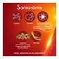 Santarome Vita'Max Booster Effervescent Orange 20 Comprimés