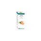 Equisalud Bio Essential Oil Jengibre 10 ml