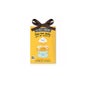 The Fruit Company Ambientador Armario Mango 13 g