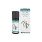 Equisalud Bio Essential Oil Eucalipto 10 ml