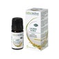 Naturaktive Essential Oil Laurel Noble Organic 5ml