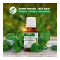 Aceite Esencial Arbol Del Te Soria Natural 15 ml
