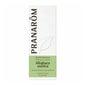 Pranarôm Aceite Esencial de Romero QT Alcanfor BIO 10 ml
