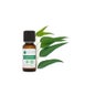 Voshuiles Aceite Esencial de Eucalipto Blanco 125 ml
