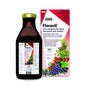 Floradix Floravital Ferro + Vitamine 250ml