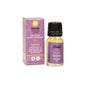 Auroshikha Garden of Nature Incense Musk Fragrance 20 sticks