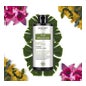 Postquam Pure Organicals Champú Anticaída 1000 ml