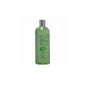 Freesens Family Shampoo 2 in 1 Alo Vera 750ml