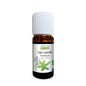 Propos Nature Olio essenziale organico di Verbena esotica 10ml