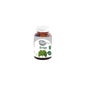 Il fienile di grano integrale Ginkgo Biloba 600mg 90 tappi