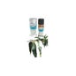 Aroma Exótico Aceite Esencial de Verbena Contador de Aromas 10 ml