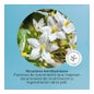 Segle Skin Factor Creme 50ml