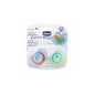 Succhietto in gomma blu aria Chicco™ physio 12 mesi + 2 pz