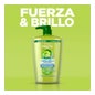 Garnier Fructis Fuerza & Brillo Champú 360ml