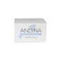 Andina crema decolorante 100ml