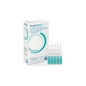 Xanternet 20 Vereinigte Staaten X 04 Ml