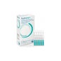 Xanternet 20 Vereinigte Staaten X 04 Ml