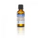 Terpenic Labs Cumin 30ml