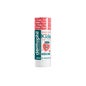 Dermófilo Stick Kids Strawberry 4g