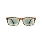 Montana Animal brune briller Mr73A +2,00 1stk