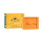 Dr Tree Champú Sólido 2 en 1 Revitalizante 75 g