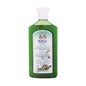 Intea Intea Green Tea & Mint Shampoo 250 ml