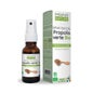 Propos'Nature Spray Bucal de Própolis Verde Bio 15 ml